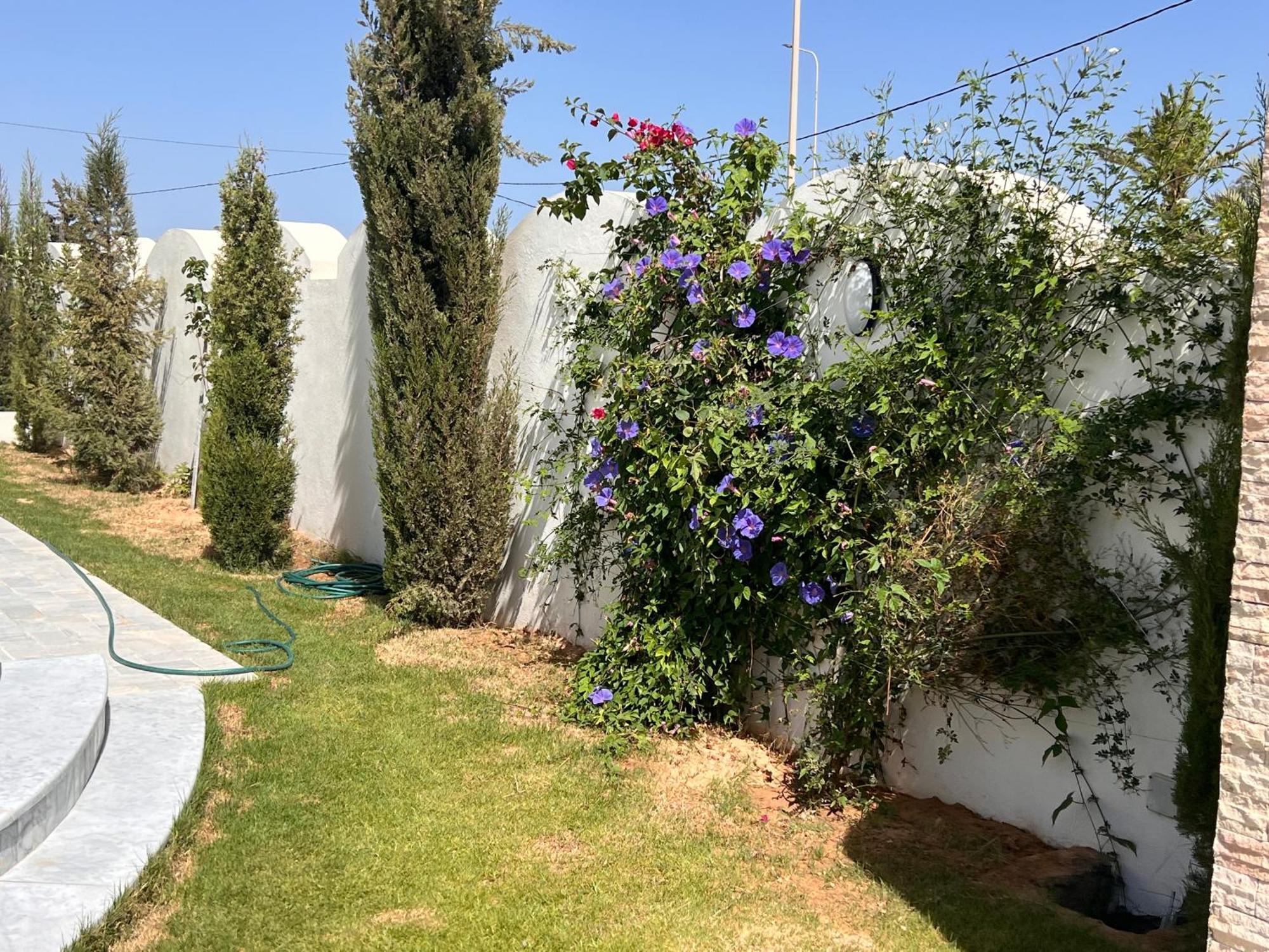 Villalina Haut Standing Djerba Ajim Exteriér fotografie
